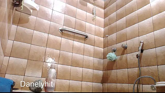 Danelyhit webcam