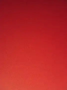 Lee_bee1 webcam