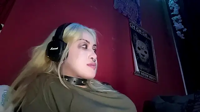 MistiPara webcam
