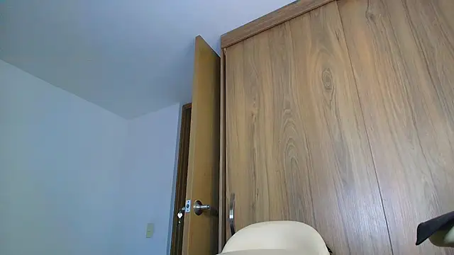 SARA_TS_FOX webcam