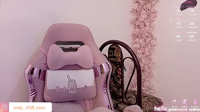 Nami_usagi webcam