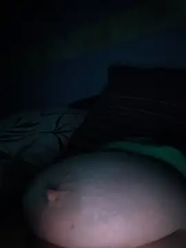 poussychats webcam