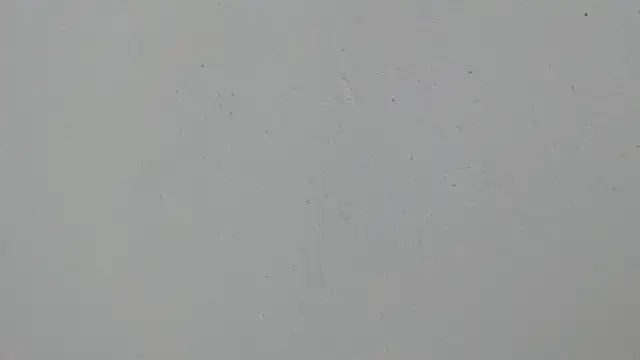 erikaskinny18 webcam