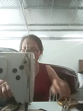 Vieekee webcam