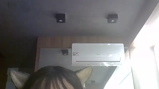 SkinnyKitten webcam