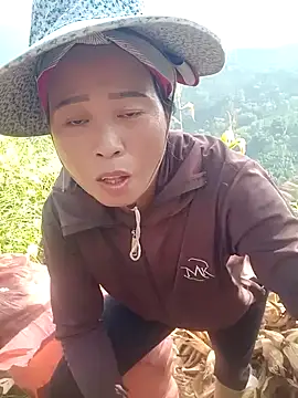 phuongtrinh1 webcam