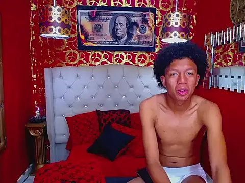 PEINBOYS webcam