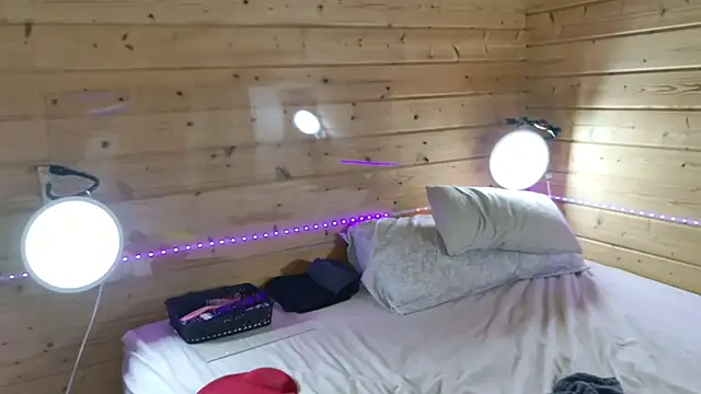 wild41 Live Web Cam Show