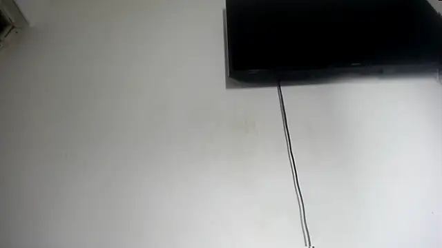 Fox_Loves