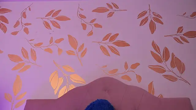 alix_bay webcam
