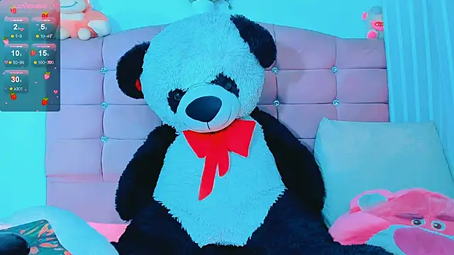 _samy_huber webcam