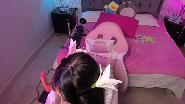 kitticam webcam