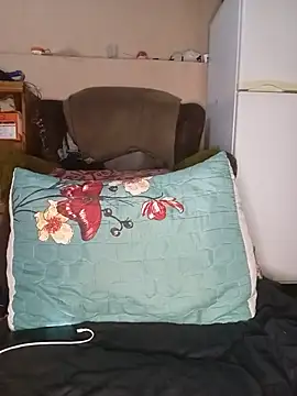 mptxl webcam