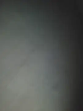 Geespise webcam
