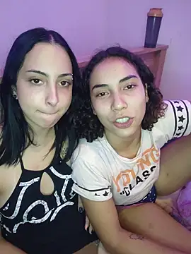 AsLince webcam