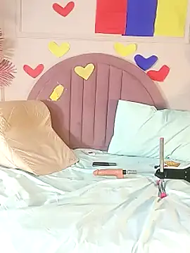 Nalapalmer webcam