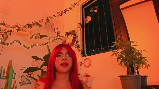 AuroraWishes webcam