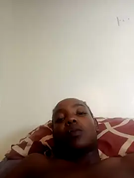 xbella32 webcam