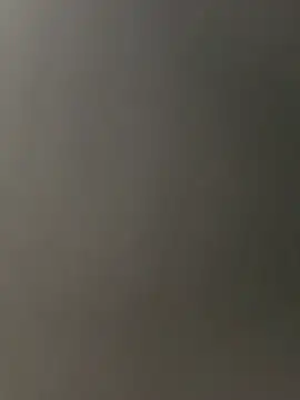 exoticbirds webcam