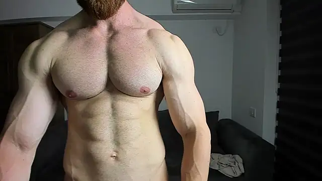 ZkkBlitz webcam