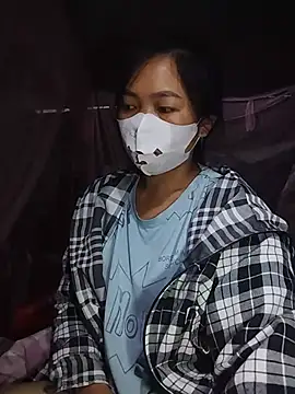Hiha-nn webcam