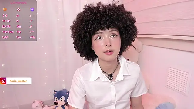 Alice_winter_ webcam