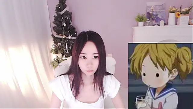 hall-33 webcam