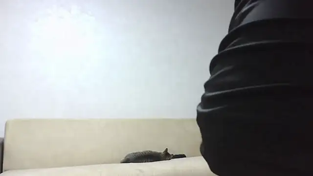 aylinblushing webcam