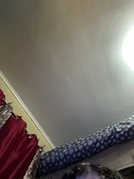 Nattiddlg webcam