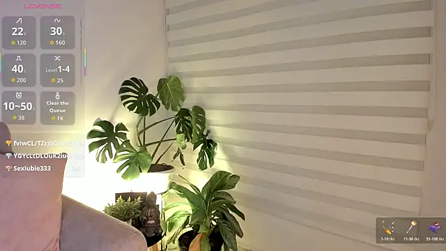 AlleCollins webcam