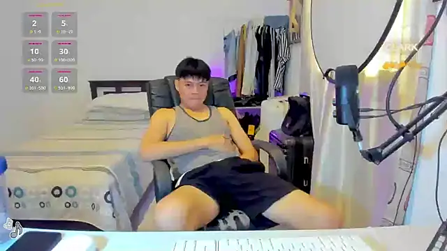 clarkdangerous webcam