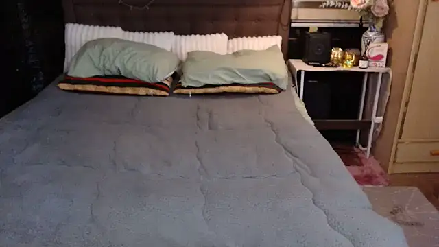 xheavenlytrans webcam