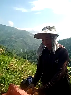 phuongtrinh1 webcam