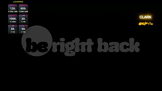 clarkdangerous webcam