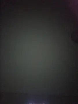 Nidge251 webcam
