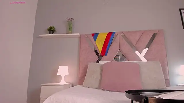 nova_silk webcam