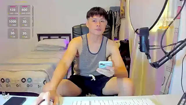 clarkdangerous webcam
