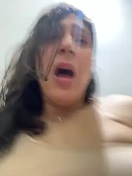 Modelo: AryloverX