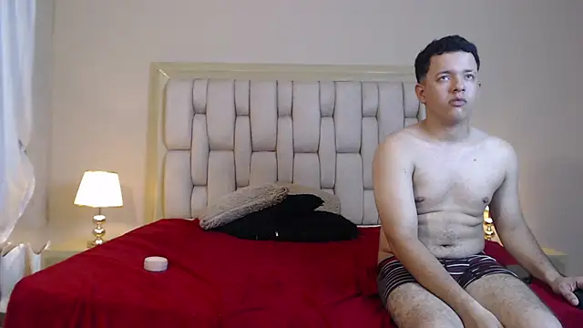 DannandSebastian webcam
