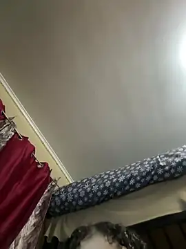 Nattiddlg webcam