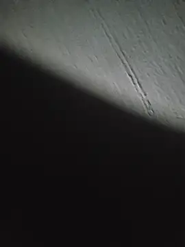 Geespise webcam