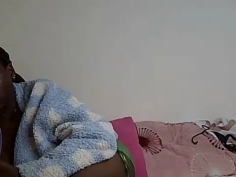Eira01 webcam
