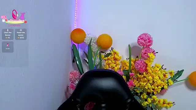 LittleSky__ webcam