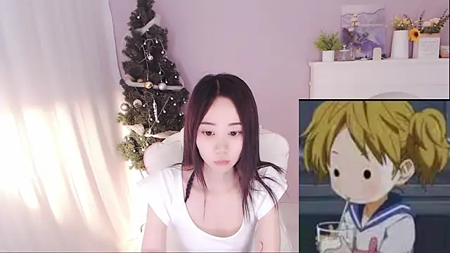 hall-33 webcam