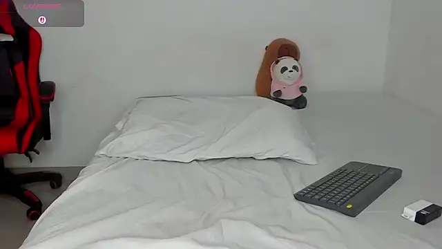 DrakeSmith_ webcam
