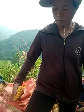 phuongtrinh1 webcam