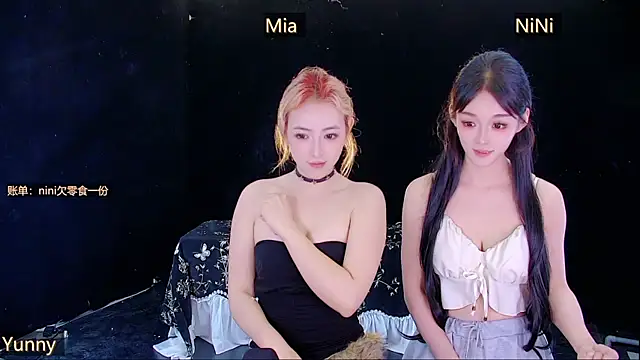 MiNi-U webcam