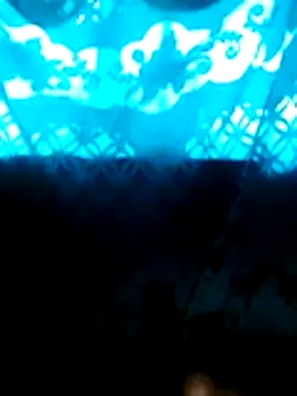 loboAudZ90 webcam