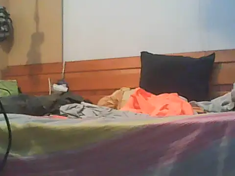 Fundy37 webcam