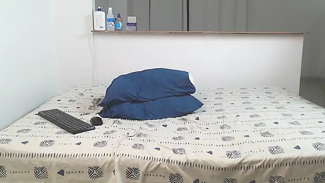 palax_bbc webcam
